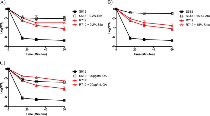 FIG 6