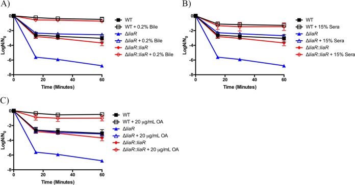 FIG 3