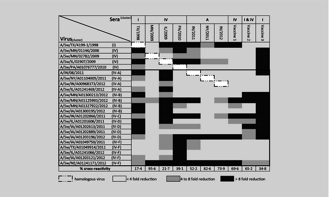 graphic file with name IRV-7-32-g005.jpg