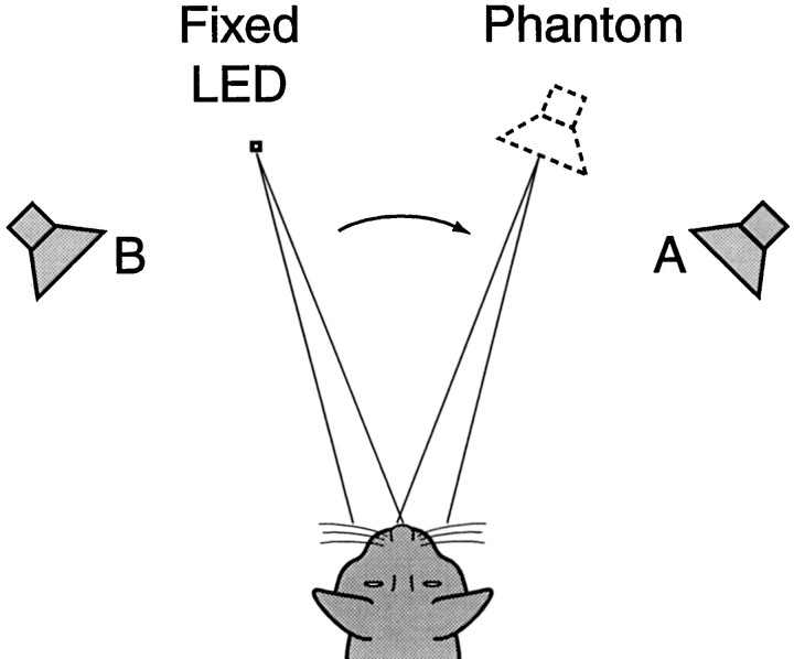 Fig. 12.