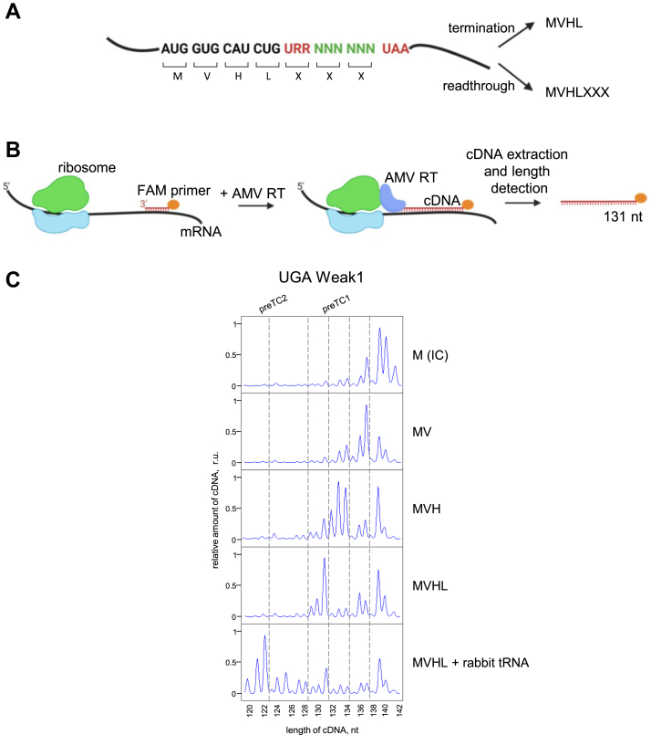 Figure 1