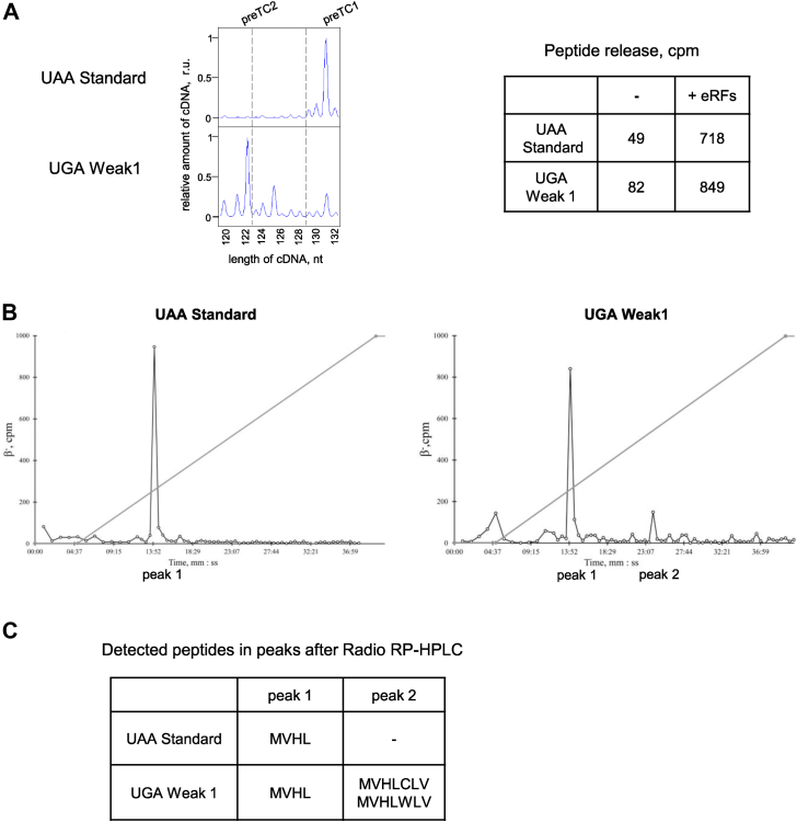 Figure 5