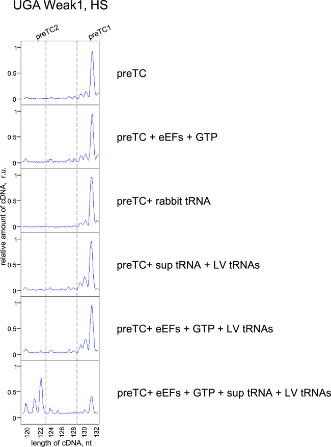 Figure 6