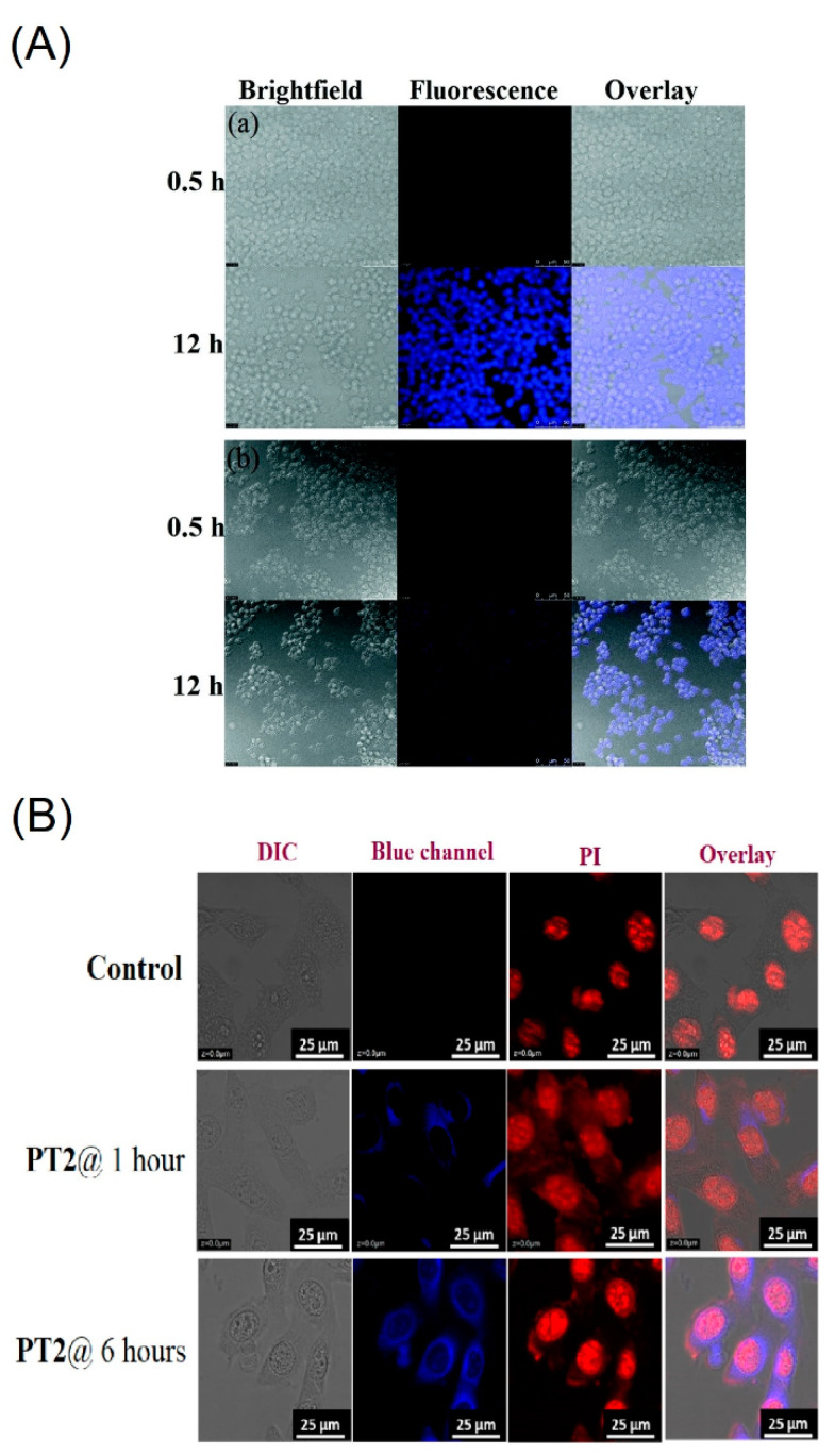 Figure 18