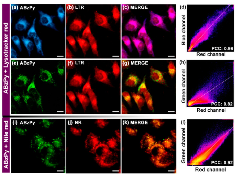 Figure 13