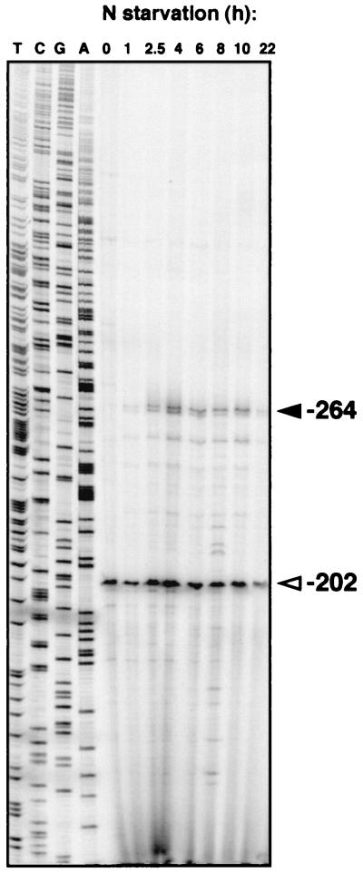 FIG. 2