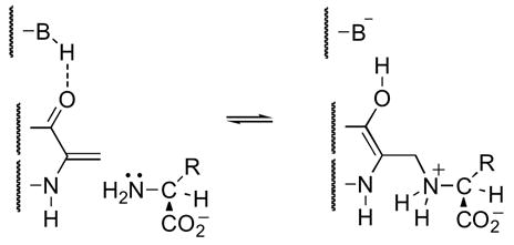 Scheme 6