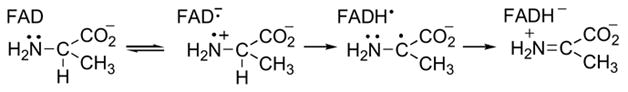 Scheme 5