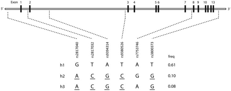 Figure 1