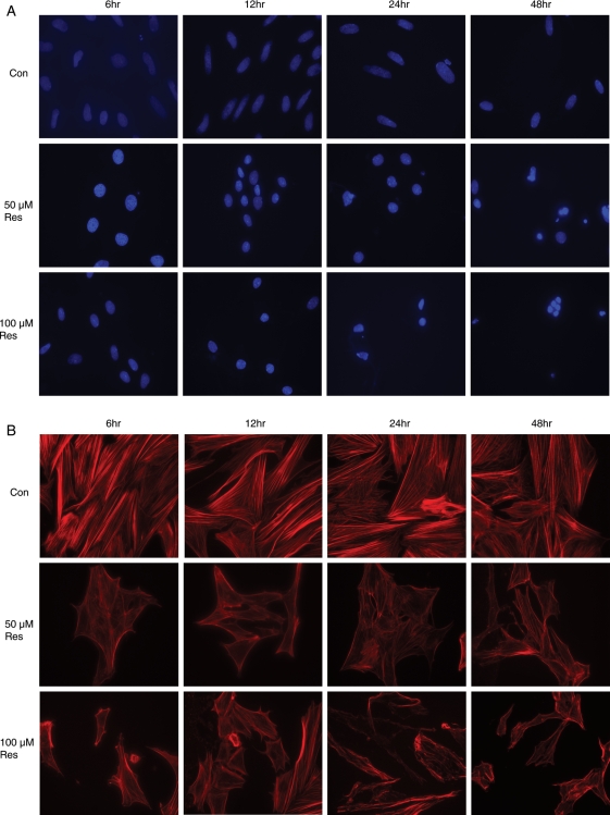 Figure 6