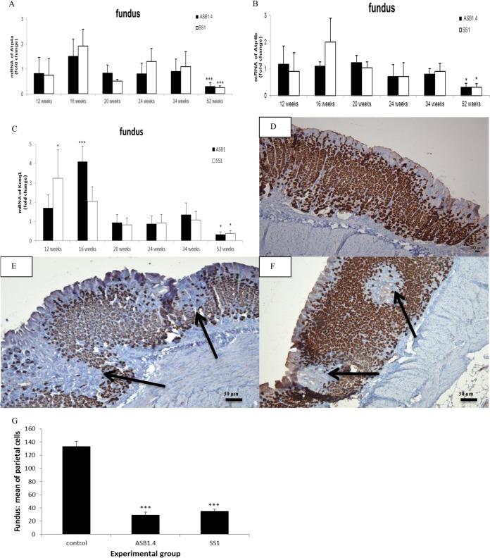 FIG 6