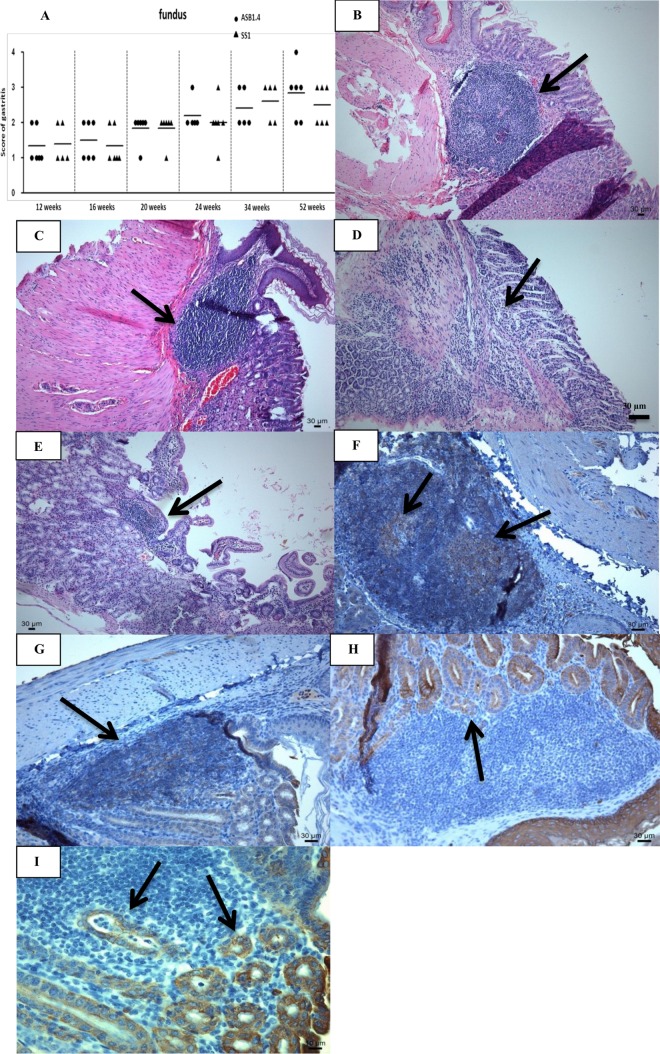 FIG 1