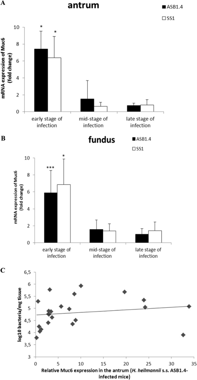 FIG 3