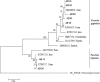 Fig. 1: