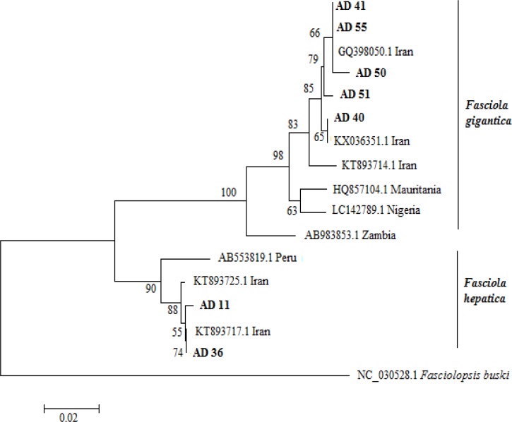 Fig. 1: