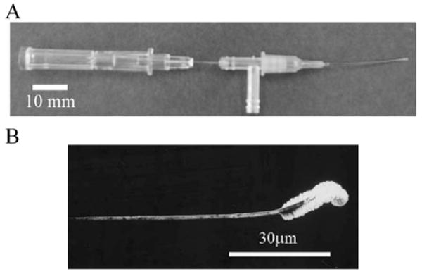 Fig. 3