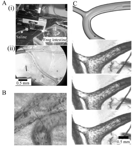 Fig. 6