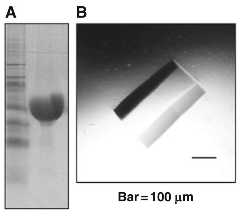 Fig. 24.1