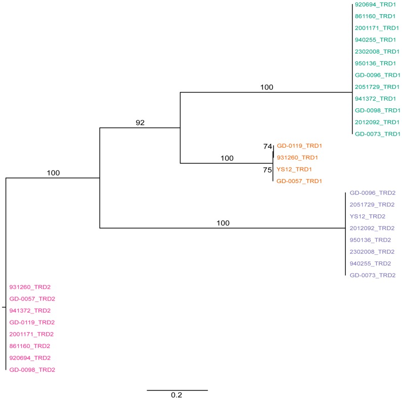 Figure 2