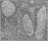 317