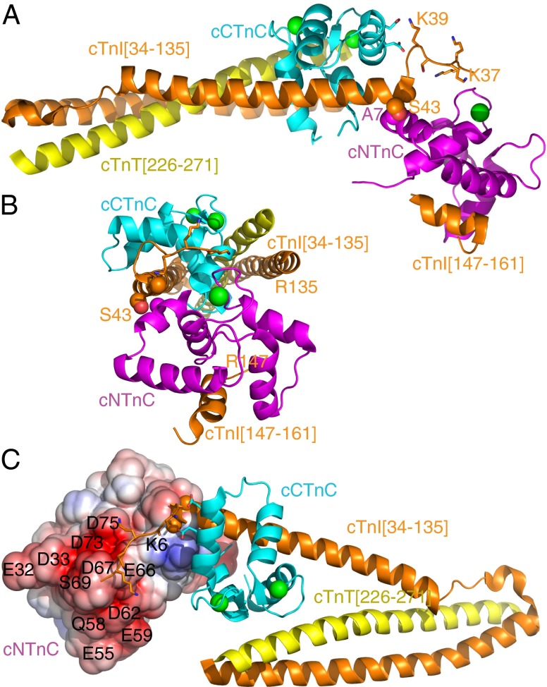 Fig. 3.