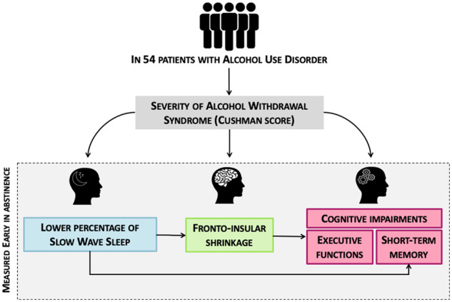 Graphical Abstract