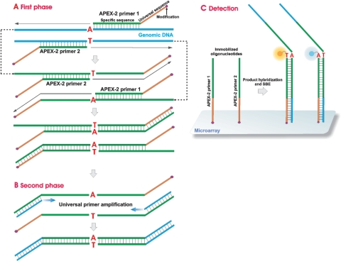 Figure 1.