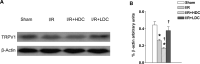 Fig. (1)