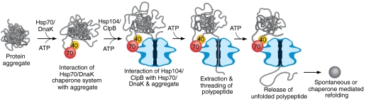 Fig. 7.