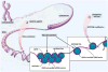Fig 3