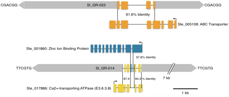 Fig. 3.