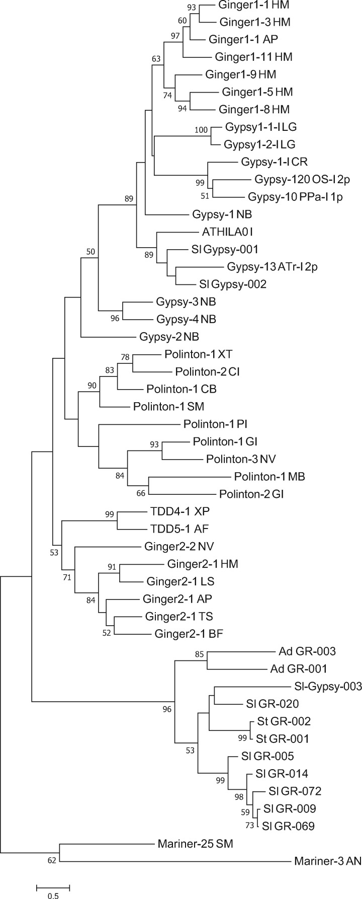 Fig. 2.