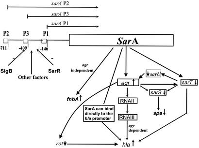 FIG. 7.