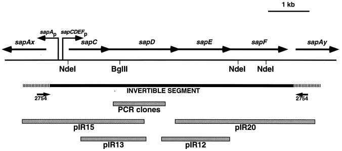 FIG. 1