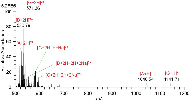 Fig. 8. Continuous-mode mass spectrum for a solution of A, B, and G in W/AcN (1/1) with the addition of 10 mM AcONH4 measured with an application of high voltage = 1.1 kV. A, angiotensin II; B, bradykinin; G, gramicidin S; W/AcN, water/acetonitrile.