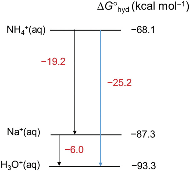 Fig. 5. Free energies of hydration (ΔGhyd) for NH4+, Na+, and H3O+.