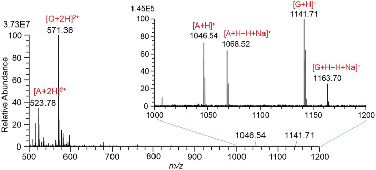 Fig. 4. Mass spectrum for a solution of A, B, and G in W/AcN with the addition of 1% AcOH measured by the continuous mode of operation. The high voltage applied to the liquid: 1100 V. A, angiotensin II; B, bradykinin; G, gramicidin S; W/AcN, water/acetonitrile.