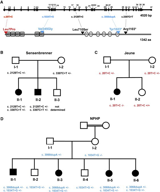 Figure 3