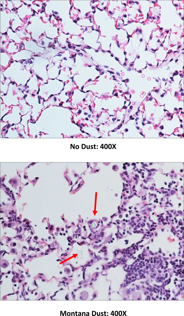 Figure 2)