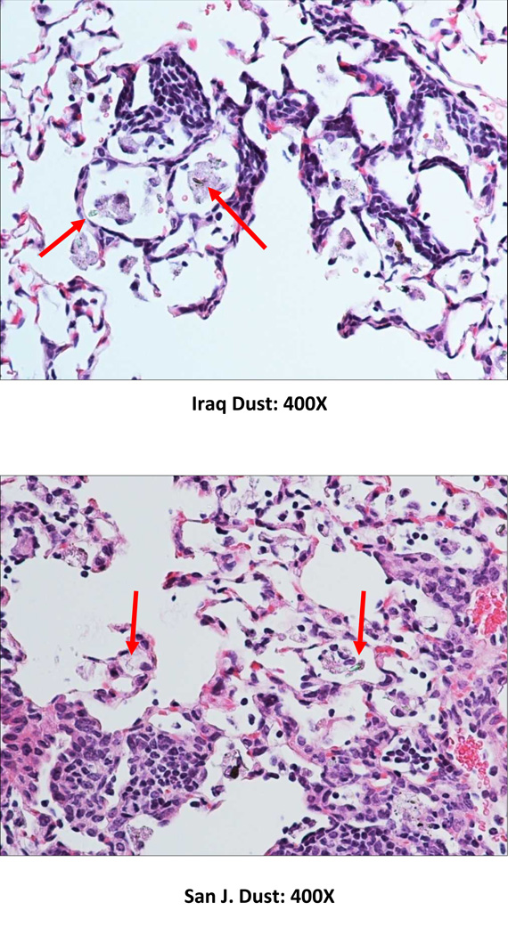 Figure 2)