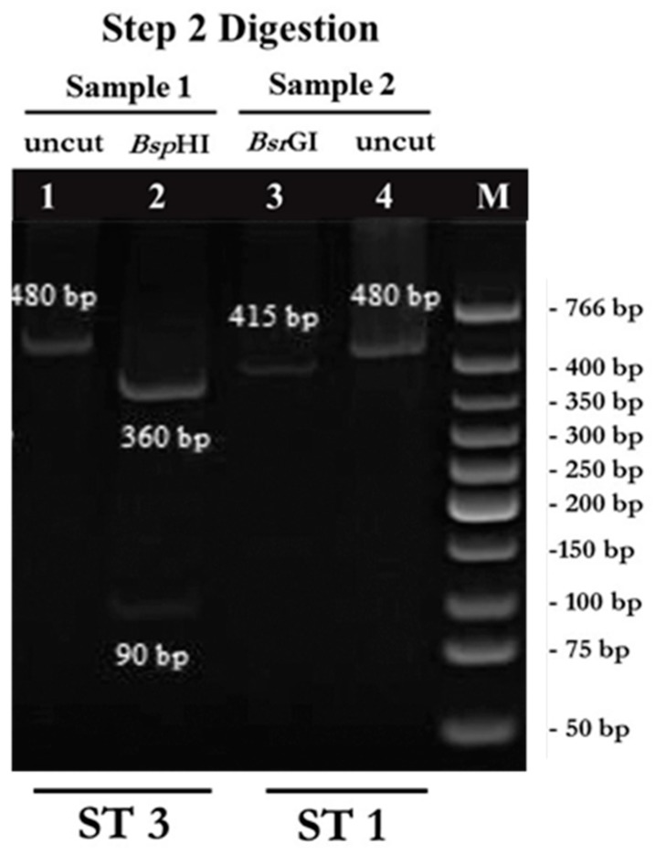 Figure 5