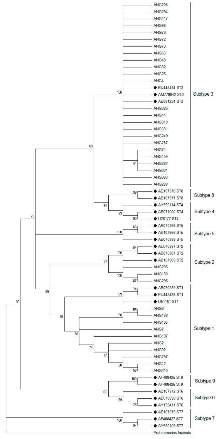 Figure 6