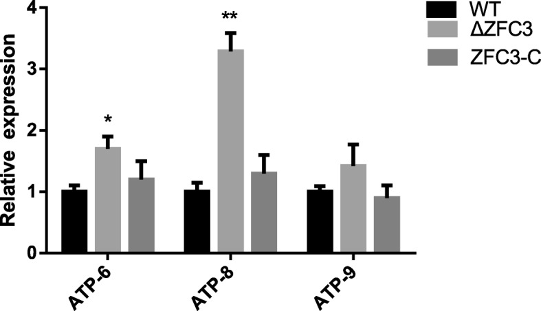 Fig. 2