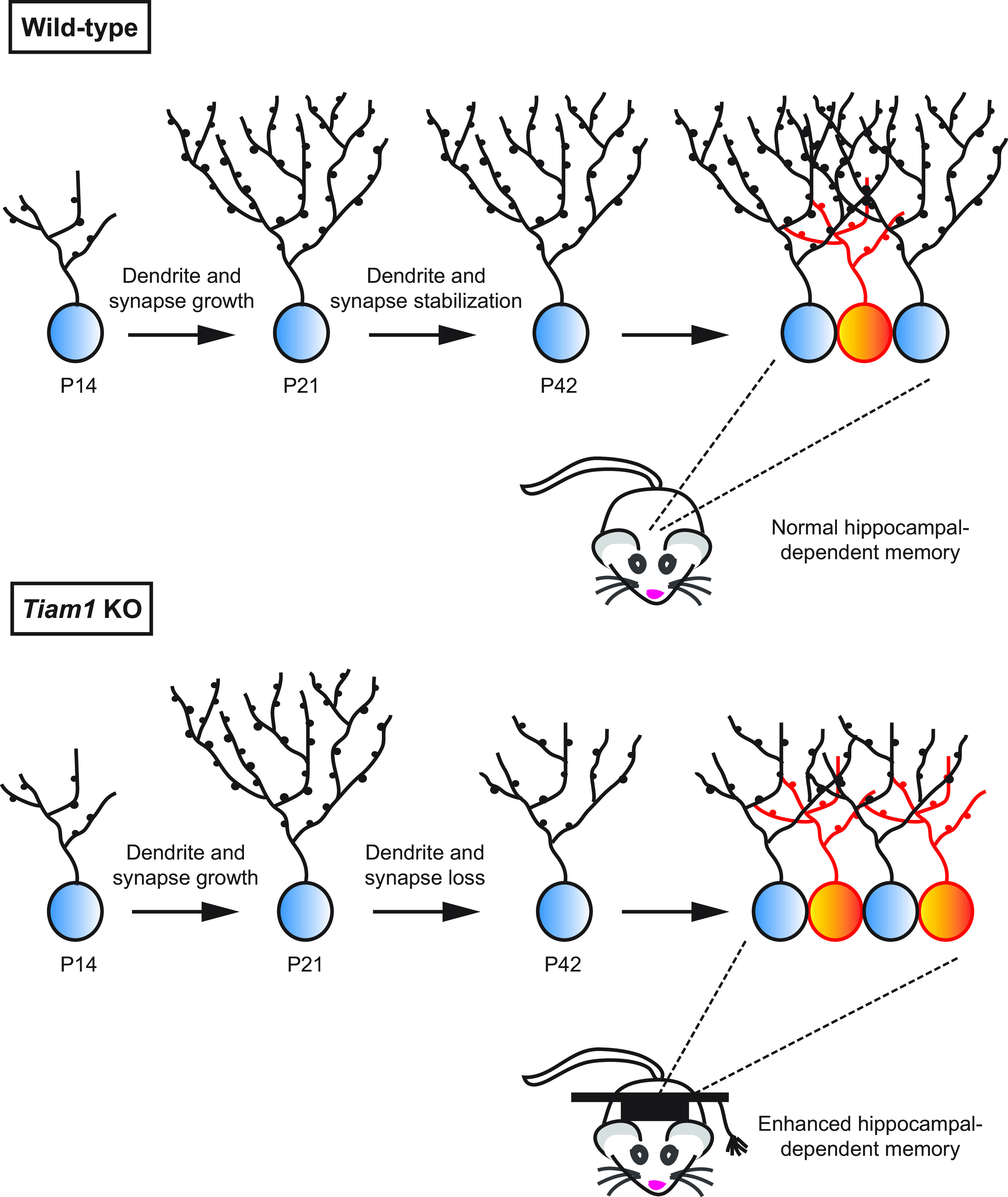 Figure 6.