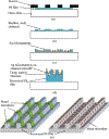 Fig 5.