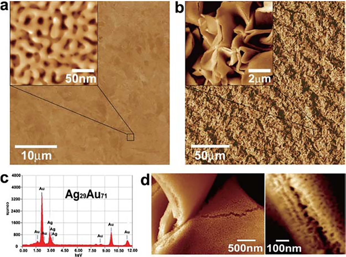 Fig. 8