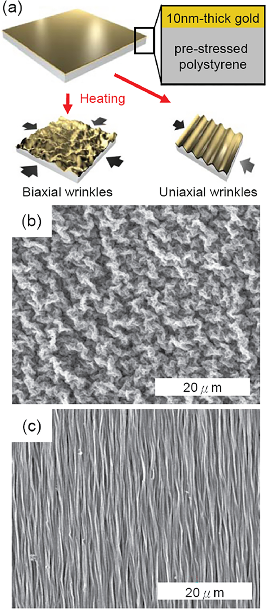 Fig 3.