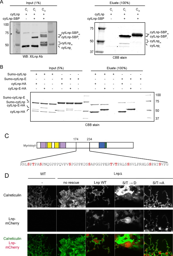 Figure 12—figure supplement 1.