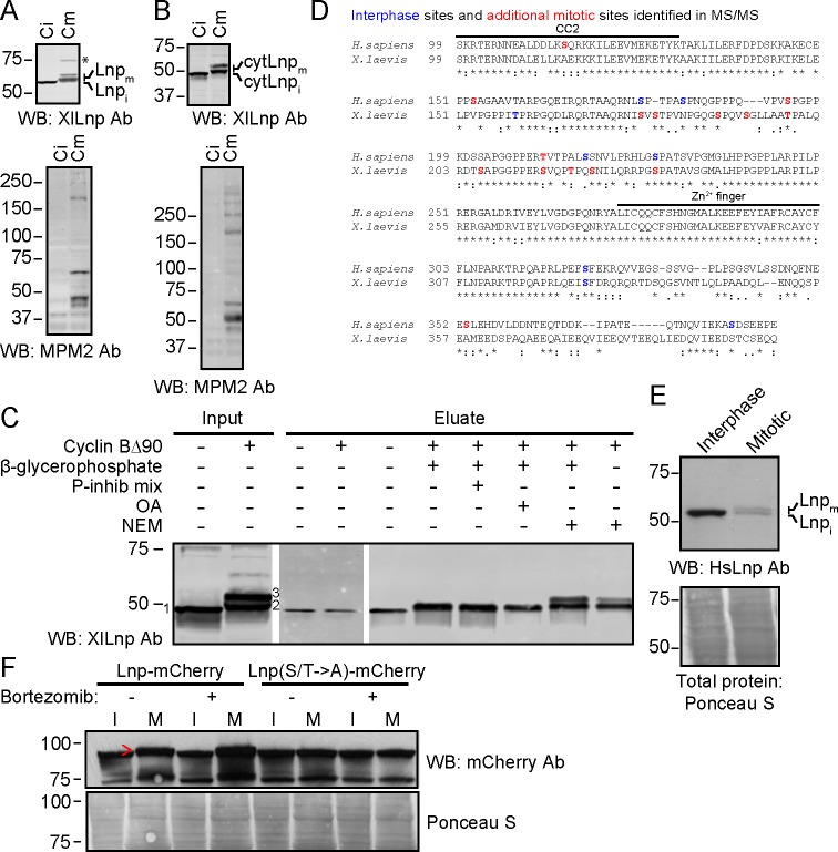 Figure 12.