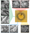 Fig. 4